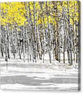 Snowy Aspen Landscape Canvas Print