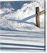 Snowy Morning Canvas Print