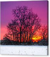 Snowy Sunset Canvas Print