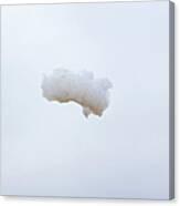 Soap Foam Floating Through The Air Canvas Print