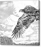 Soaring Eagle Canvas Print