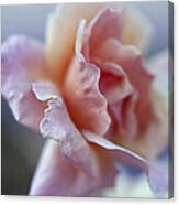 Soft Beauty Canvas Print