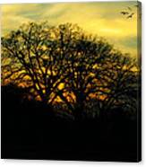 Soft Sunset Canvas Print