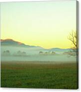 Solitary Tree In The Fog, Great Smoky Canvas Print