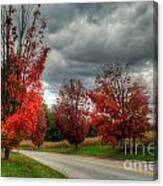 Some Fall Colors Canvas Print