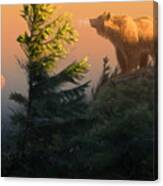 Something On The Air - Grizzly Canvas Print
