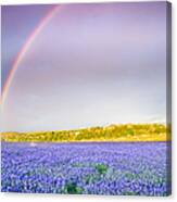 Somewhere Over The Rainbow - Wildflower Field In Texas Canvas Print