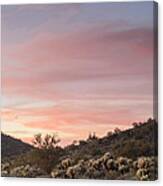 Sonoran Desert Sunset Canvas Print
