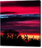 Sonoran Sunset Tucson Desert Canvas Print