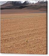 South Lipez Landscape Canvas Print