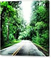 #southcarolina #drive #road #green Canvas Print