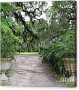 Southern Garden Welcome Canvas Print