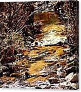 Sparkling Creek Canvas Print
