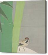 Sparrow And Bamboo., Kamisaka, Sekka, Artist Canvas Print