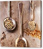 Spices And Vintage Spoons Canvas Print