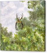 Spider In Web #2 Canvas Print