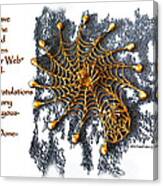 Spider Web Congratulation Thank You Well Done Canvas Print