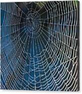 Spider's Net Canvas Print