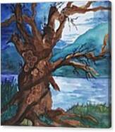 Spirit Tree Canvas Print