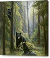 Spirits Of The Forest Canvas Print
