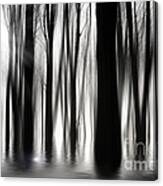 Spooky Woods Canvas Print