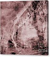 Spooky Woods Canvas Print