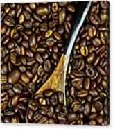 Spoonful Of Coffee Beans Canvas Print