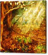 Spring - A Sign Of Spring Canvas Print