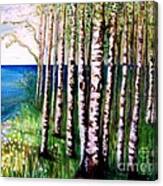 Spring Birch Canvas Print