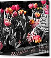 Spring In A Wagon Canvas Print