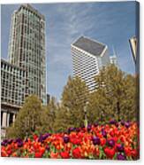 Spring In Chicago Canvas Print