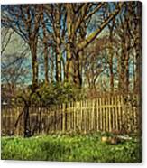 Spring In Holland Canvas Print