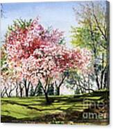 Spring Morning Canvas Print