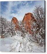 Spring Snow Canvas Print