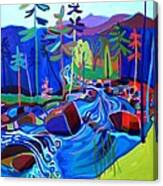 Spring Thaw Wildcat River Jackson Nh Canvas Print