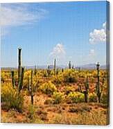 Spring Time On The Rolls - Arizona. Canvas Print