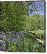 Spring Wildflowers Canvas Print