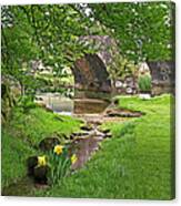 Springtime At Two Bridges Dartmoor Canvas Print