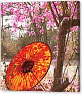 Springtime Umbrella Canvas Print