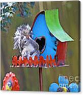 Squirrel Loves New Hang Out Canvas Print