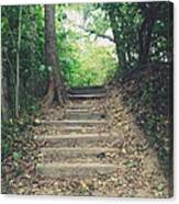 Stairs Canvas Print