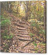 Stairs Into The Forest Canvas Print
