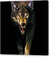 Stalking Wolf Canvas Print