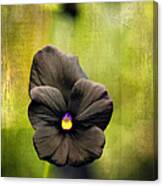 Standing Alone Canvas Print