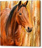 Standing Regally- Bay Horse Paintings Canvas Print