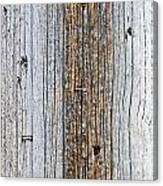 Staples In A Telephone Pole Canvas Print