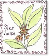 Star Anise Canvas Print