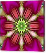 Star Fuchsia 3 Mandala Canvas Print