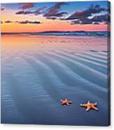Starfish On Sand Canvas Print