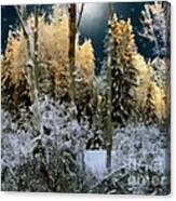 Starshine On A Snowy Wood Canvas Print